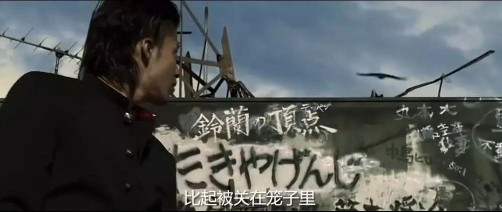 男明星吸烟现象,复杂的社会影响与观察