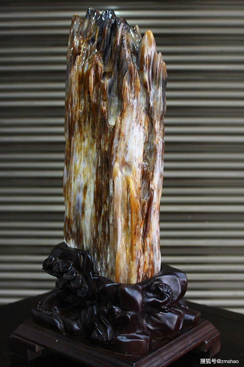 最新树化玉价格揭秘,小巷深处的神秘宝藏探秘之旅