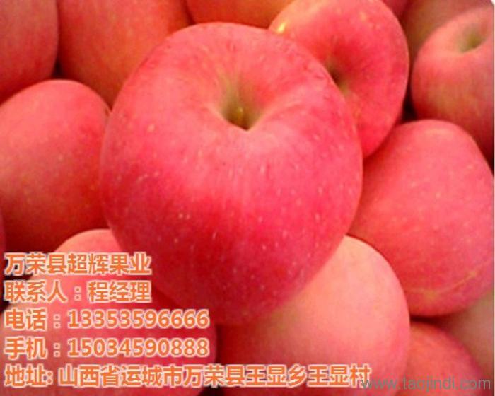红富士苹果价格行情,🍎红富士苹果价格行情📊