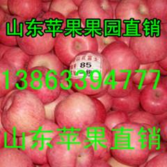 红富士苹果价格行情,🍎红富士苹果价格行情📊