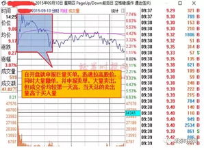 揭秘真相!股票并非随买随卖!📣🤔