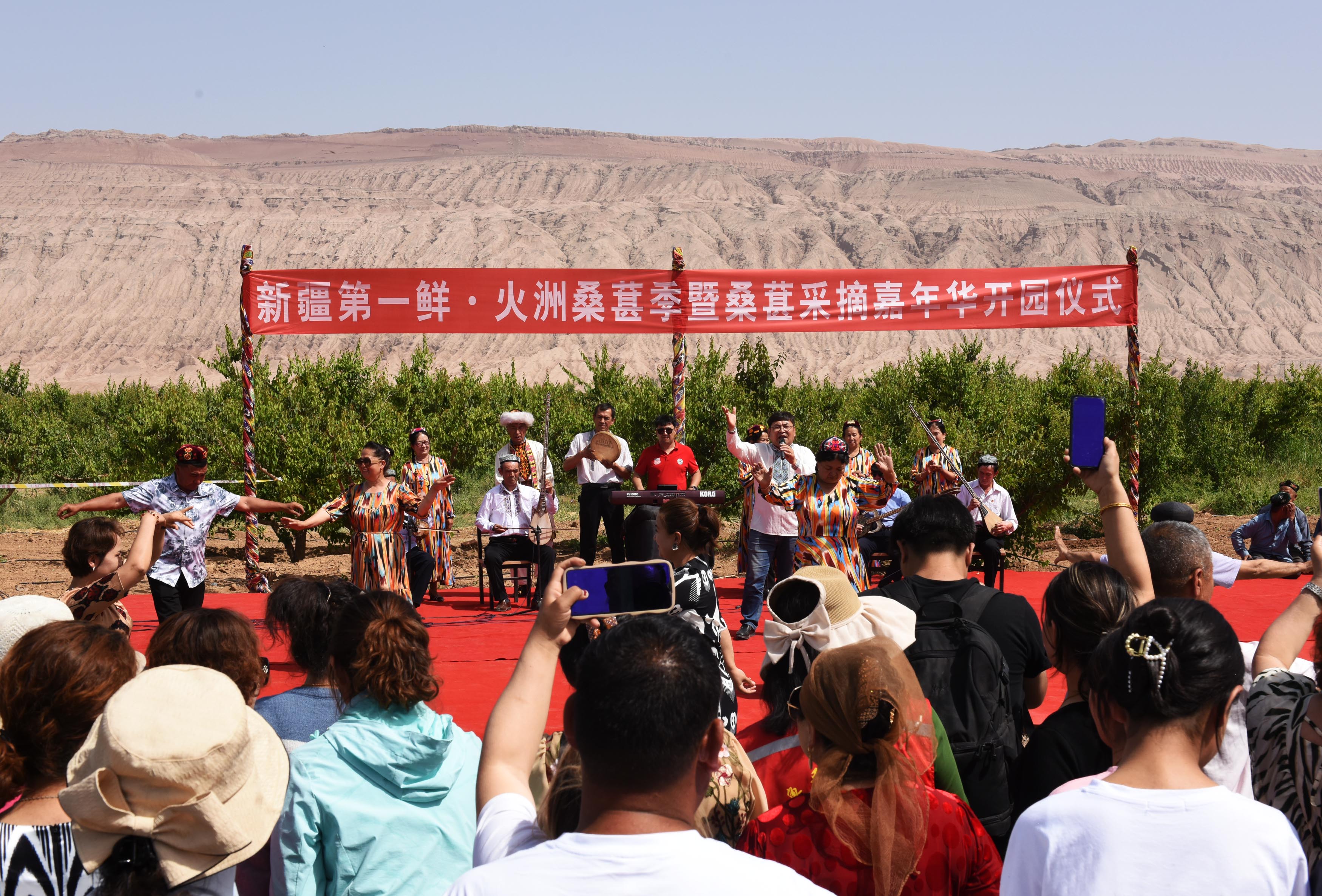 吐鲁番最新动态,葡萄架下的欢乐时光