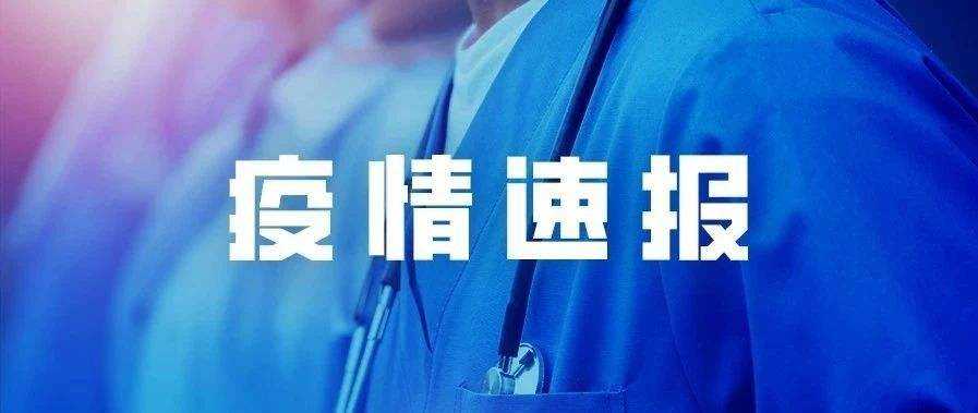 最新疫情动态更新与消息分享📢🌸