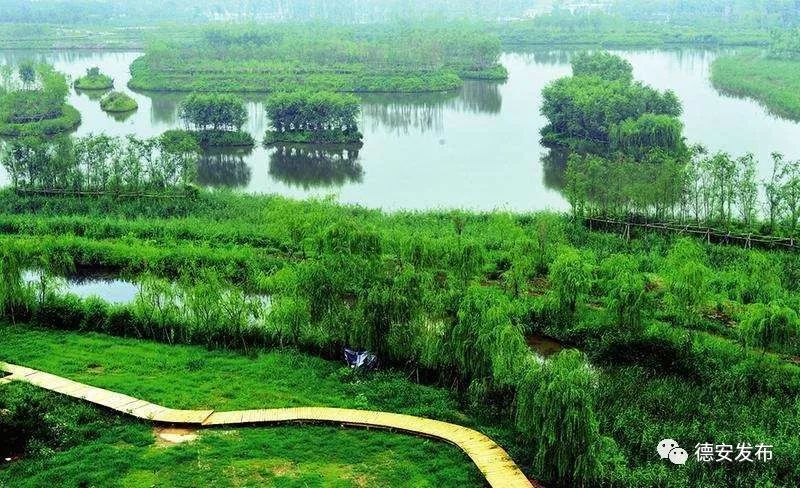 安靖湿地最新资讯,欢乐时光在湿地开启