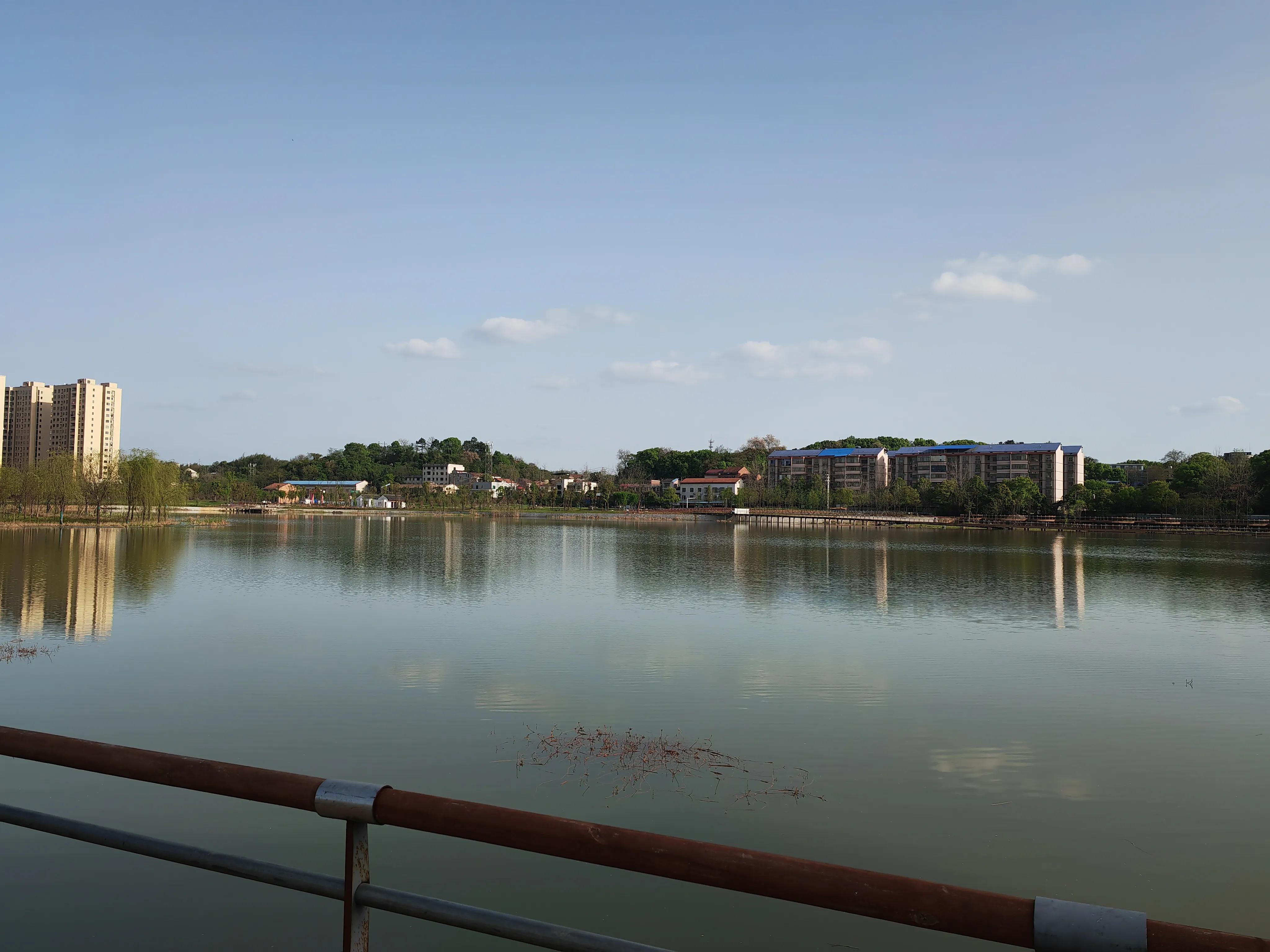 衡阳酃湖公园最新进展与动态更新