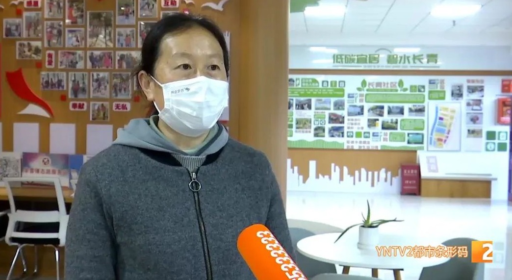 二孩补贴政策最新动态，绿色之旅中的内心平静探寻