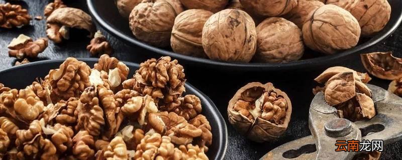 小核桃上市时间与季节性盛宴的解读与观点碰撞