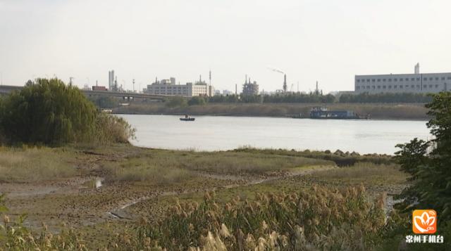 夹江新规划,夹江新规划,巷弄深处的美食秘境