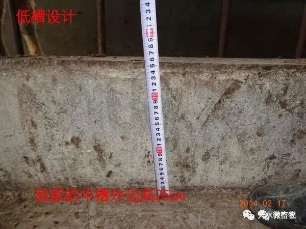 最新牛槽设计图及其制作步骤指南