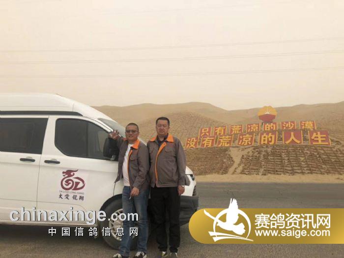 新疆龙翔赛鸽赛况更新,翱翔梦想,逐鸽竞逐的赛场风采!