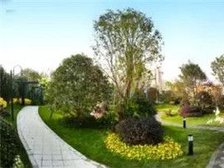 滁州中央名邸的价格与温馨故事揭秘