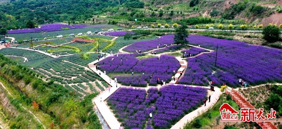 足疗店推出全新特色服务体验