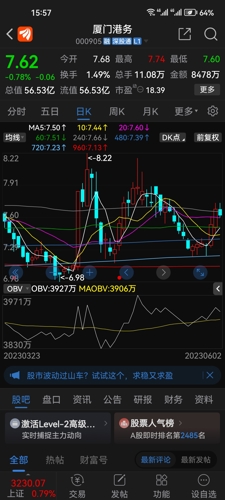 厦门港务行情深度解析,探索繁荣脉络,领略港口经济风采!