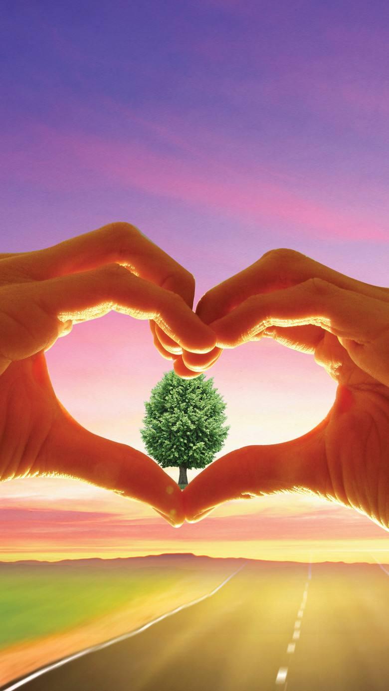 汽车饰品的销售 第269页