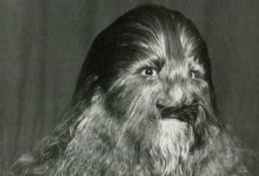 早逝明星的心灵之旅,与自然邂逅,寻找内心平静的力量