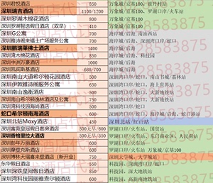 汽车饰品的销售 第263页
