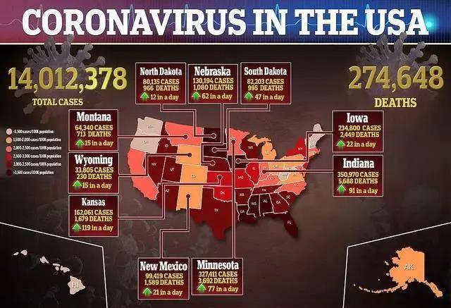 美国最新疫情实时更新概况