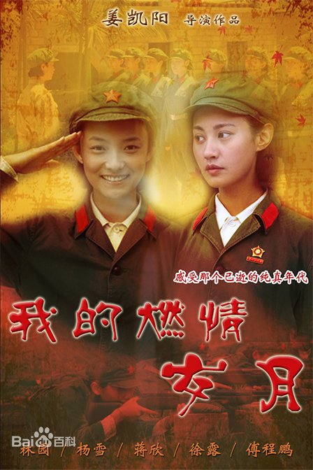 我的燃情岁月角色深度解析与演员匹配