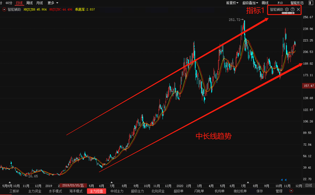股票观察之旅,心灵与自然的双重探索