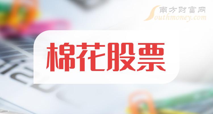 棉花股票与小巷探秘,独特小店之旅的揭秘