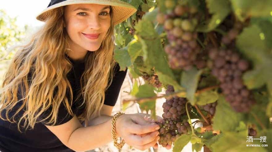 葡萄明星,从园中走出,闪耀星辰之光