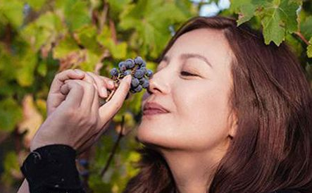 葡萄明星,从园中走出,闪耀星辰之光