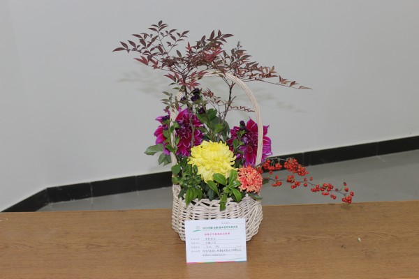 插花比赛作品图片制作指南,从入门到精通的艺术之旅