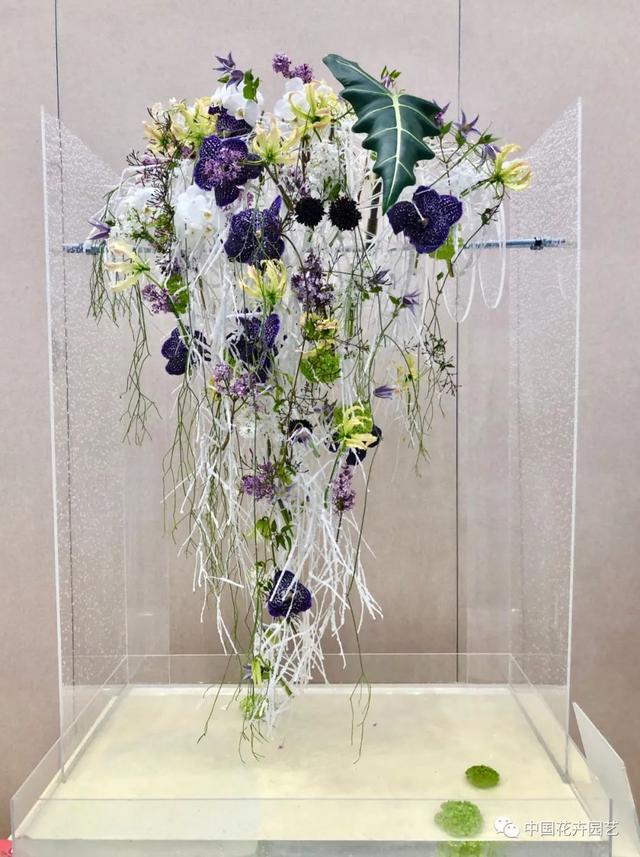 插花比赛作品图片制作指南,从入门到精通的艺术之旅