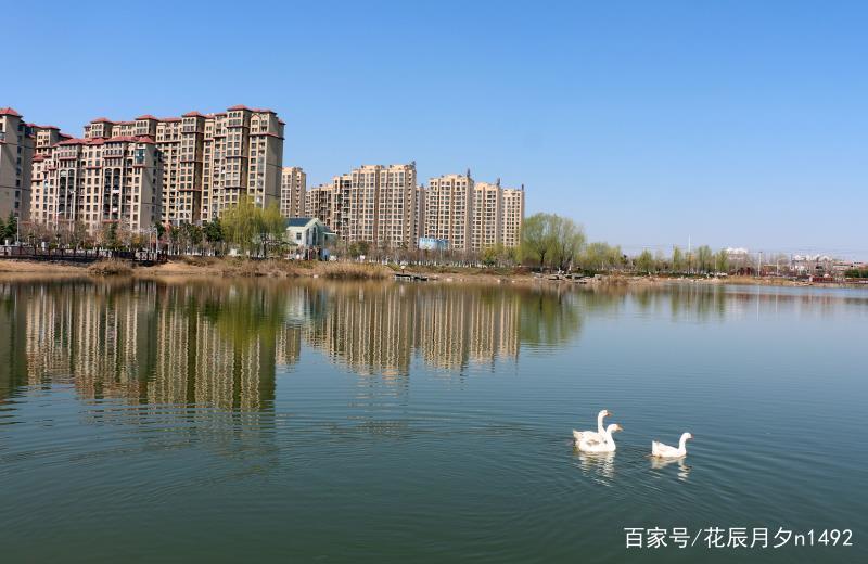 扶沟人工湖房价最新动态及趋势分析