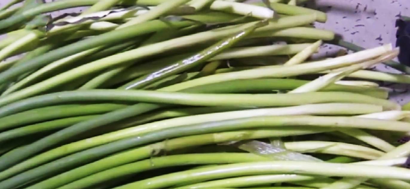 巨野蒜苔市场探秘,价格背后的温情与陪伴小故事