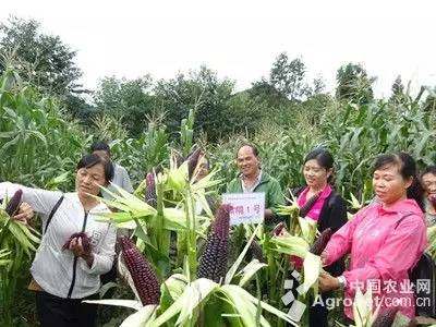砀山新鲜事概览✨