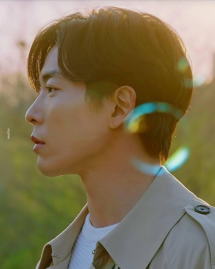 韩剧最新最快更新网，引领时代潮流的韩剧先锋