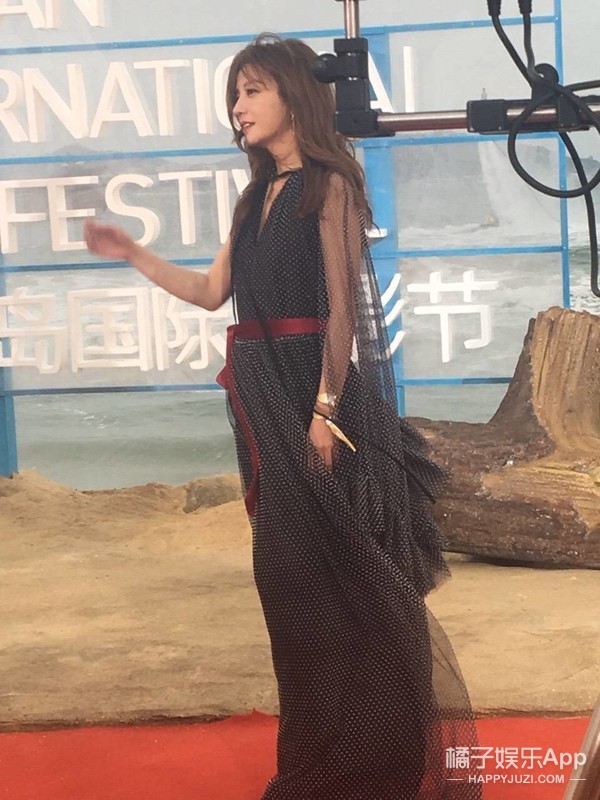 赵薇最新动态揭秘,小巷中的隐藏瑰宝