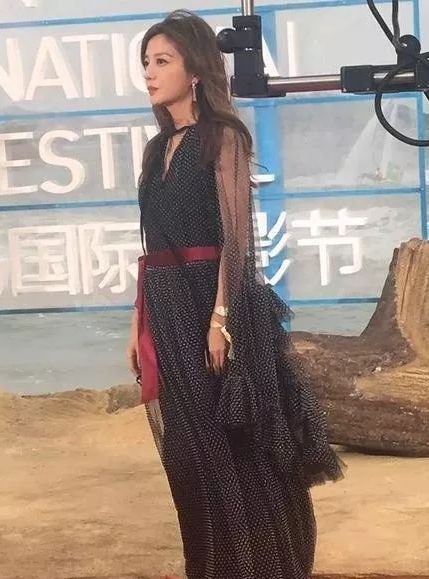 赵薇最新动态揭秘,小巷中的隐藏瑰宝