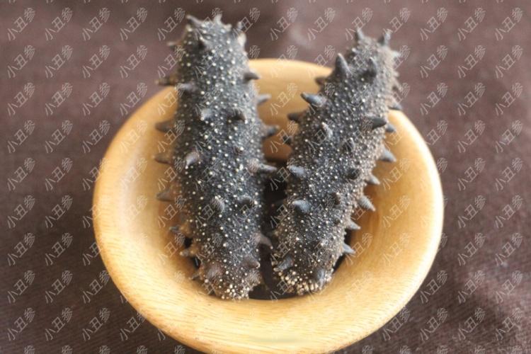 海参最新行情,繁荣背后的故事揭秘