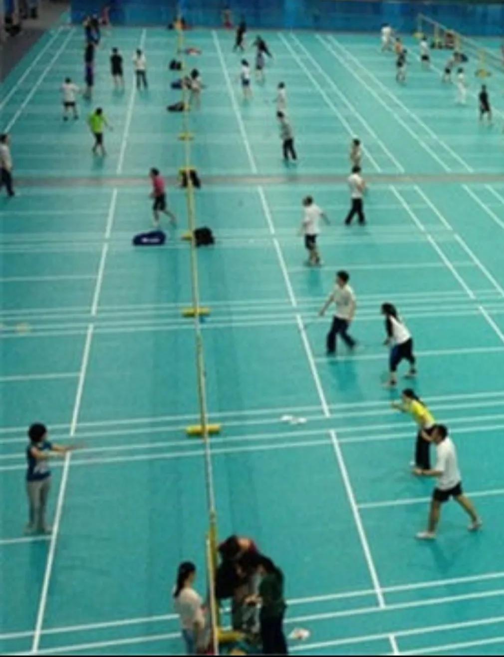 羽毛球赛场上的挥洒汗水瞬间作文