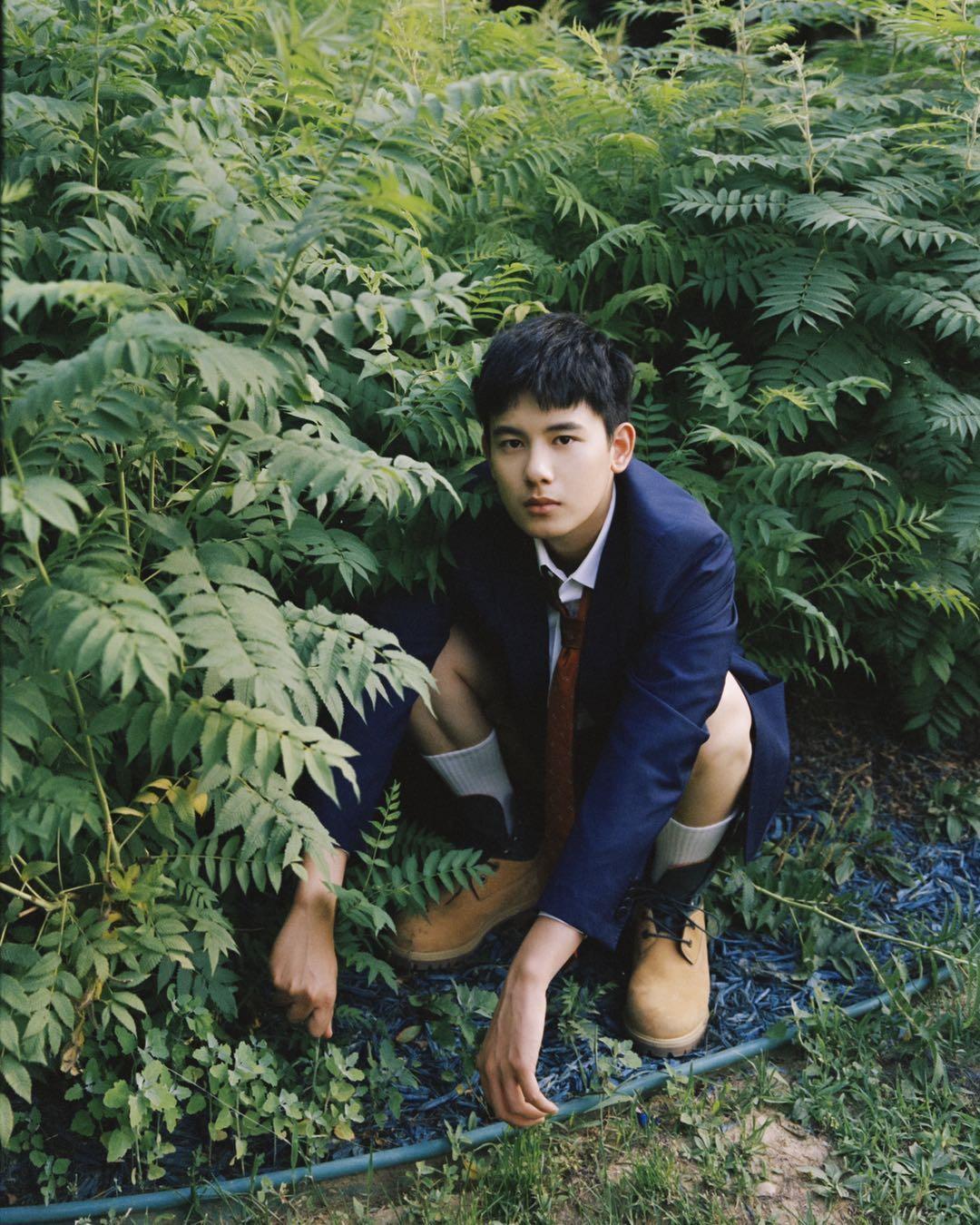 电影学生,自然美景探索之旅的启航