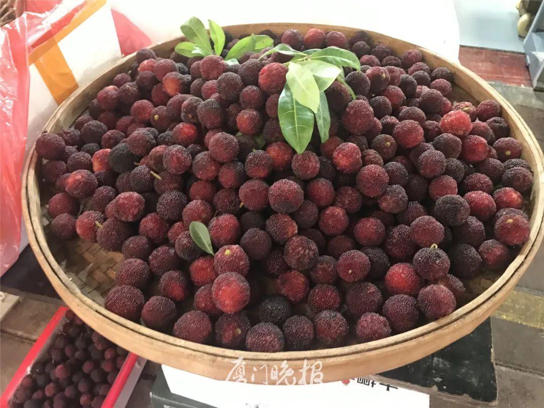 中孚上市,启程自然美景的探秘之旅