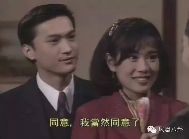 陈锦鸿演艺生涯,璀璨电视剧篇章回顾