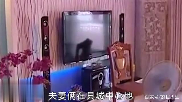 长大电视剧周明的命运归途,深度解读结局