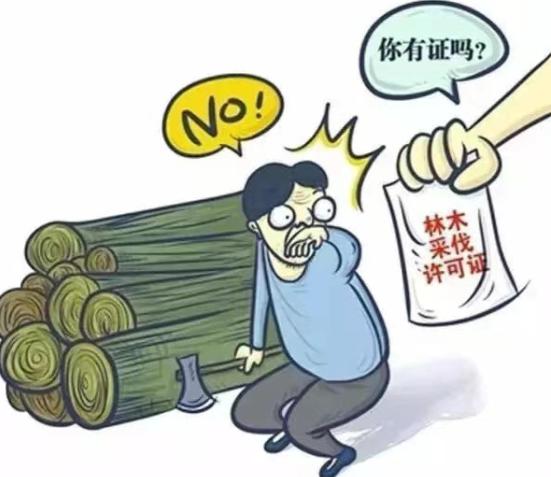 林业退休政策解读,绿意退休之家与小店的探秘之旅