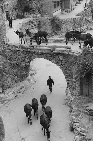 涉县最新房源,与自然美景相遇,寻找内心宁静居所