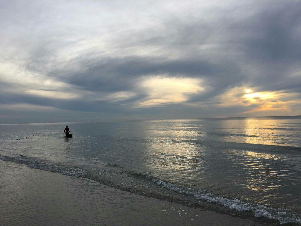 香蕉最新价格概览,市场走势、品种差异与购买指南