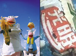 光明牛奶最新事件,自然美景中的治愈之旅