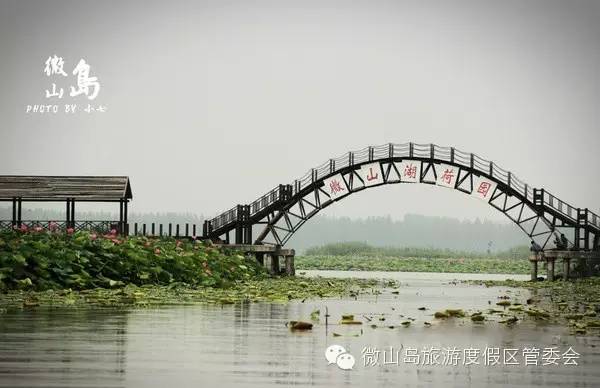 微山湖畔新篇章,最新消息探寻记