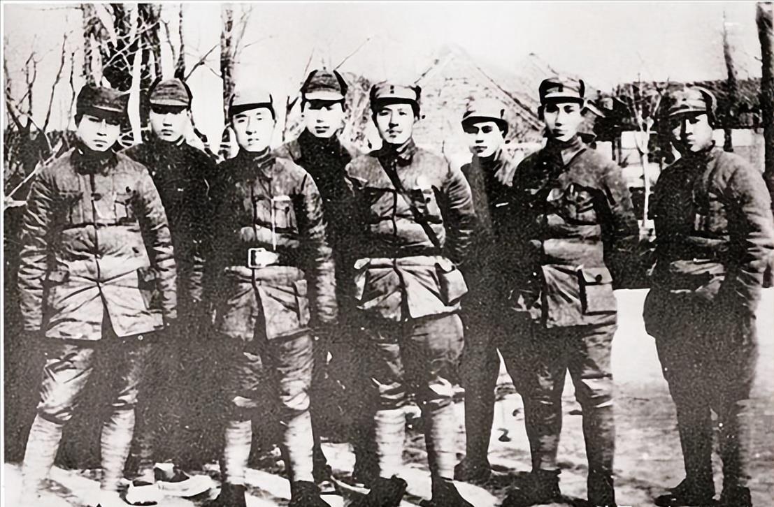 纽扣助手最新版本,与自然共舞,探寻内心宁静的奇妙之旅