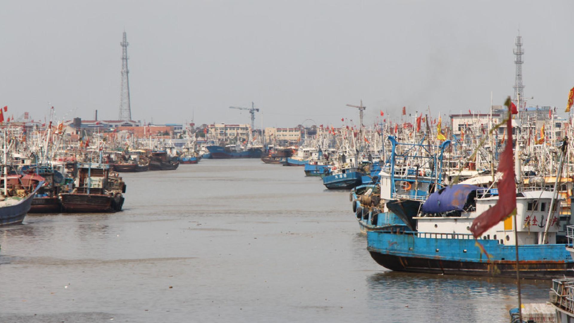 吕四港镇规划揭秘,新篇章的蓝图与温馨日常的融合