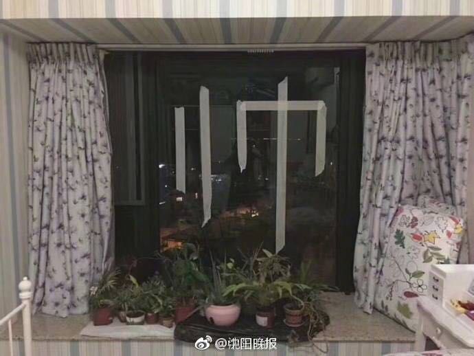 探索自然美景的轻松之旅,最新风台之旅体验