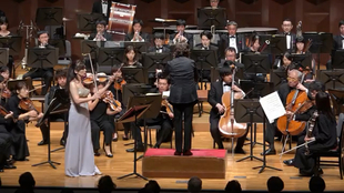 小巷深处的音乐宝藏,最新音乐会盛大开幕