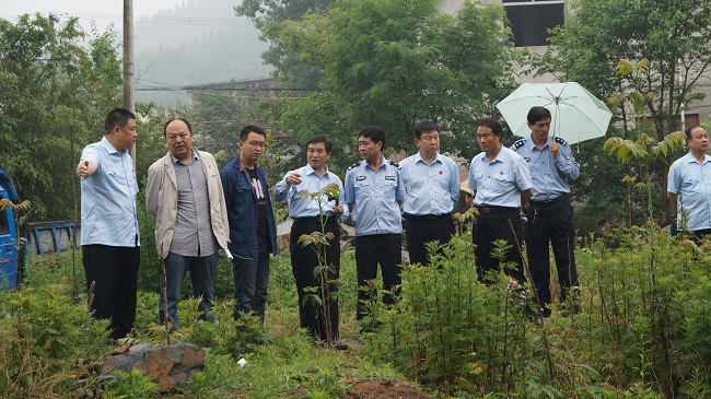 商南最新新闻,自然美景探索之旅,寻找内心的平和与宁静